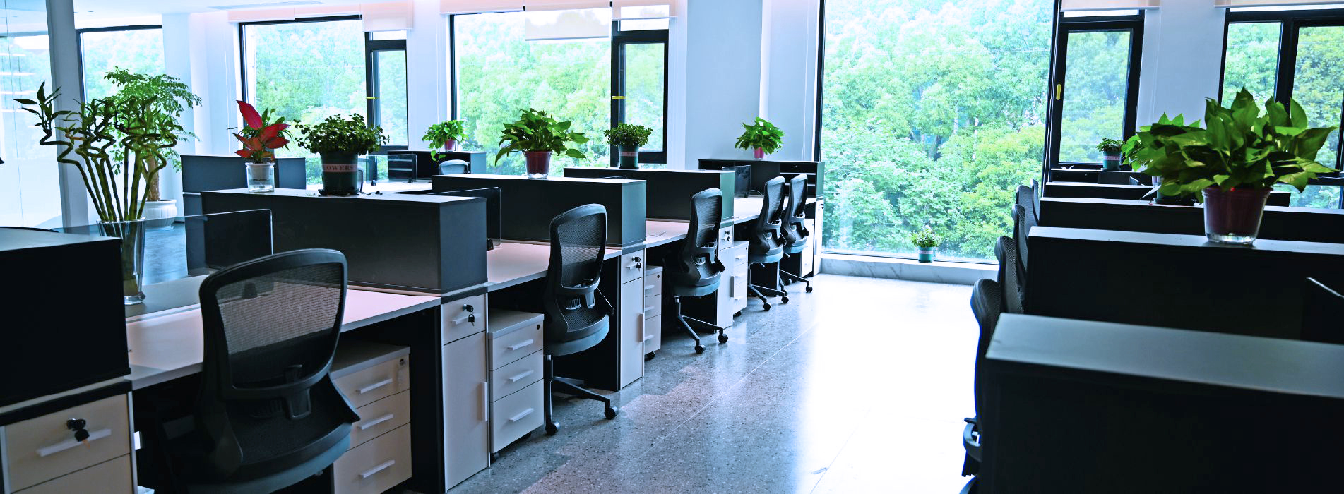 Sandwox office